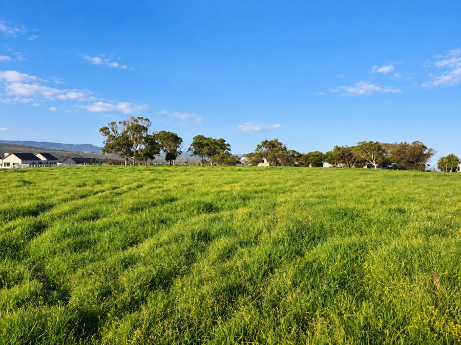 0 Bedroom Property for Sale in Kabeljauws Eastern Cape